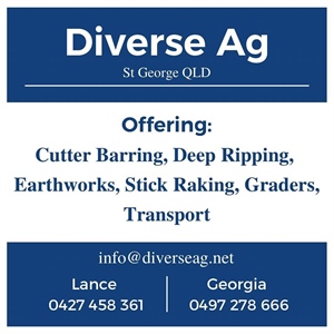 Diverse Ag - St George