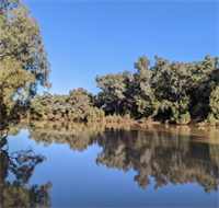 Ticklemans Gardens - Cunnamulla