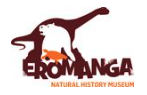 Eromanga Natural History Museum