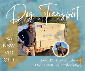 Southern Dog Transport