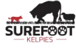 Surefoot Kelpies - Working Dog Training and Breeding